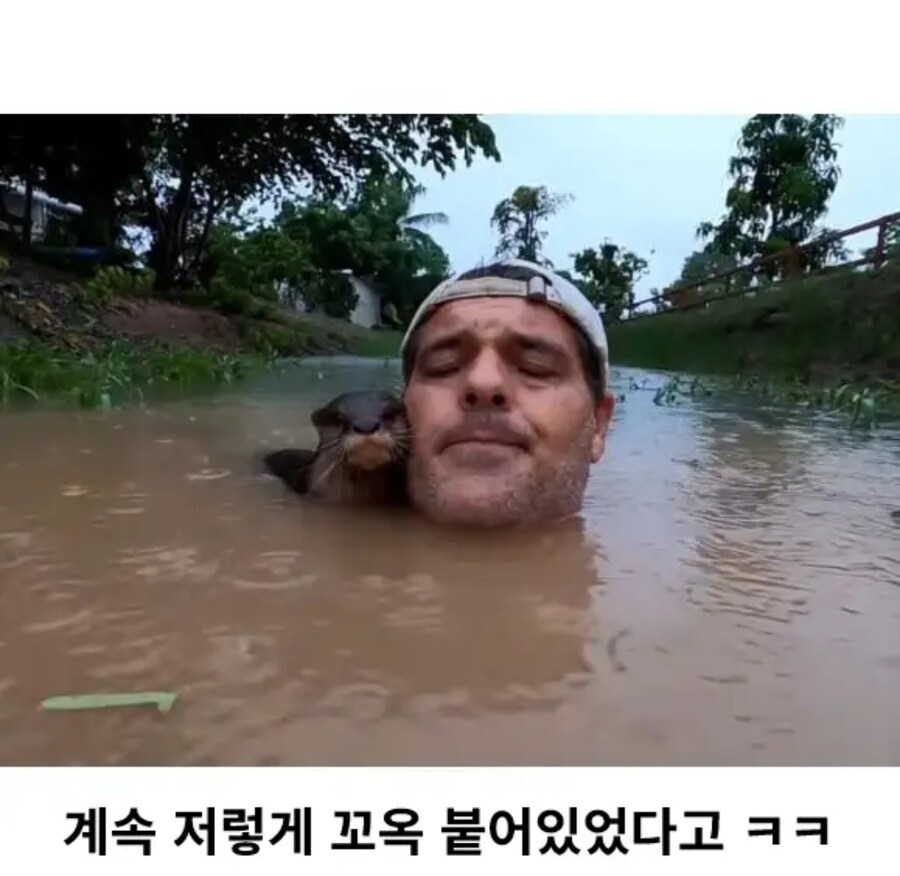 민물 수영이 위험한 이유_4.jpg