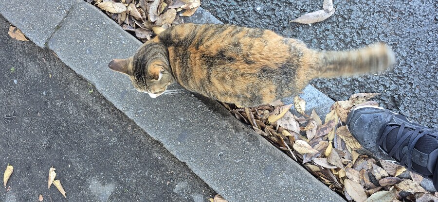 야 너 뭐야_1.jpg