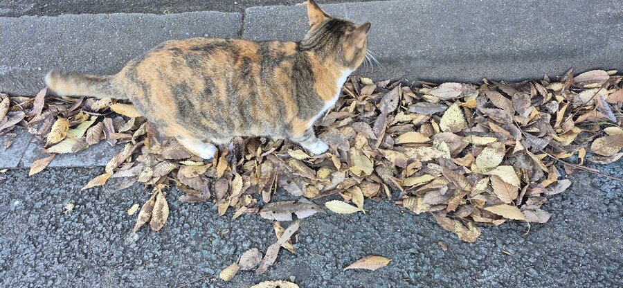 야 너 뭐야_2.jpg