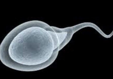 나도 용기있게 어릴적 사진 올린다_1.jpg