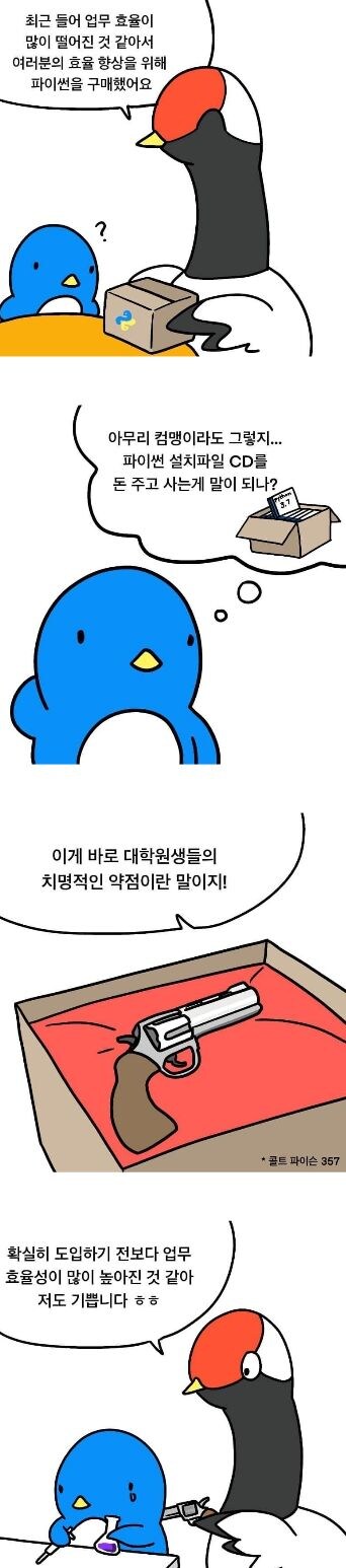 개발자들은 파이썬에 약하다며?_1.jpg