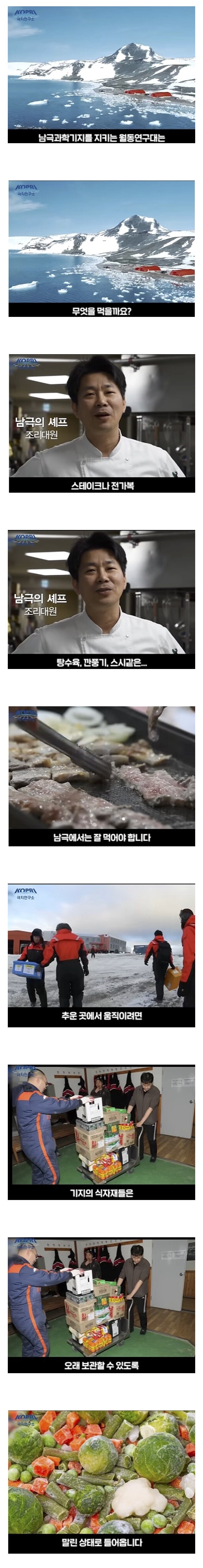 해양수산부 피셜) 남극 잘먹고 다니는디?_1.jpg