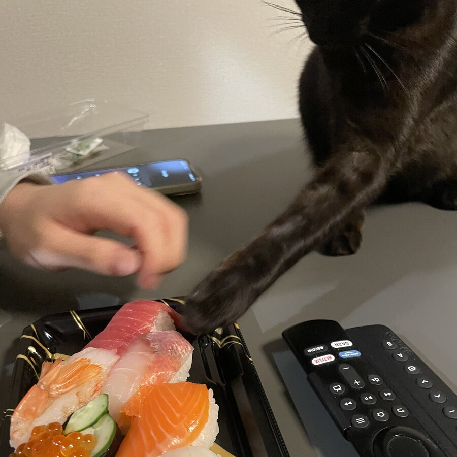 빛보다 빠른 속도.jpg_1.jpg