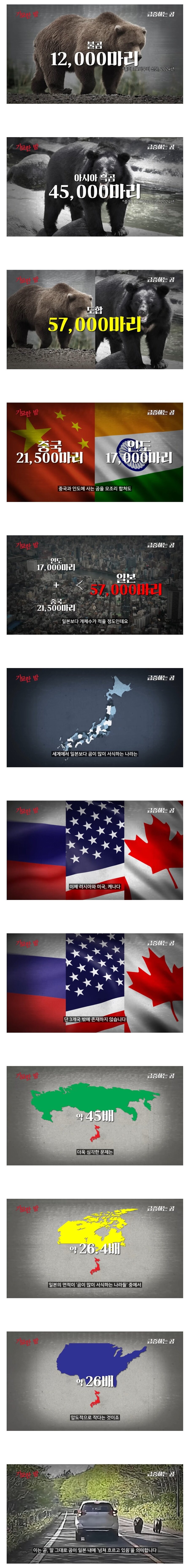 세계적인 곰 보유 국가가 된 일본.jpg_1.jpg