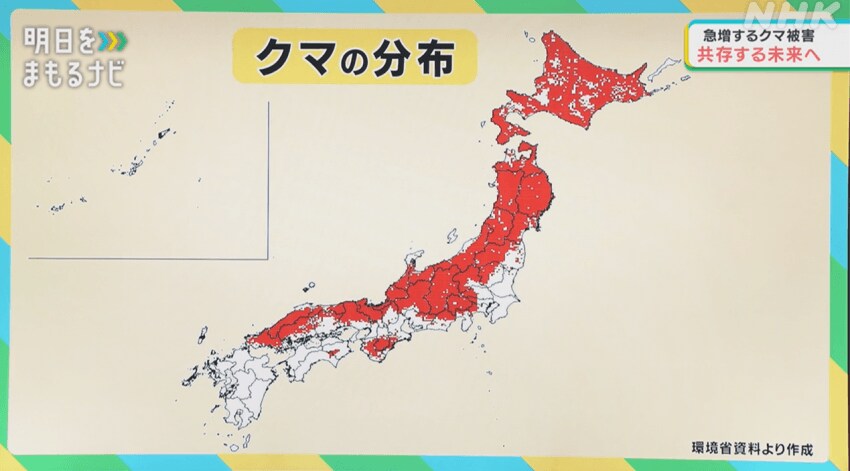 세계적인 곰 보유 국가가 된 일본.jpg_2.png