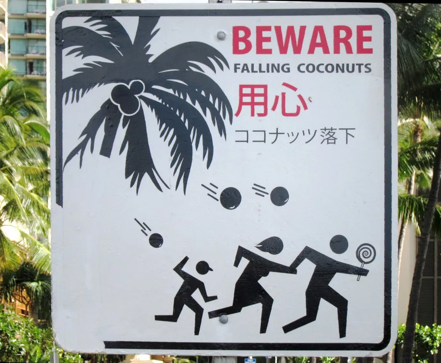 사람들이 좋아하지만 사람을 죽이는 열매_1.webp