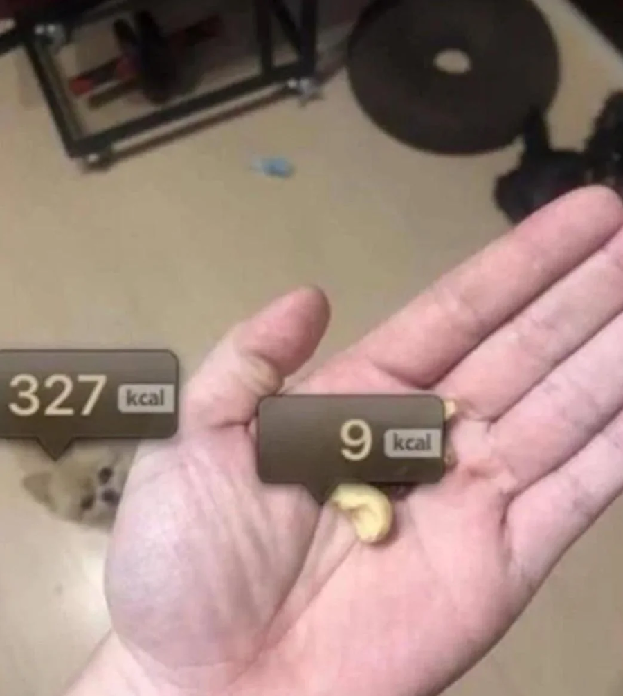 개같은 칼로리..._1.webp