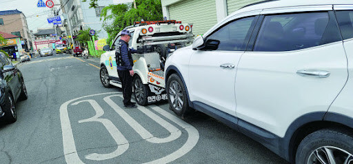 경주 apec 이후 경주 가면 자주 보게 된다는 장면_1.jpg