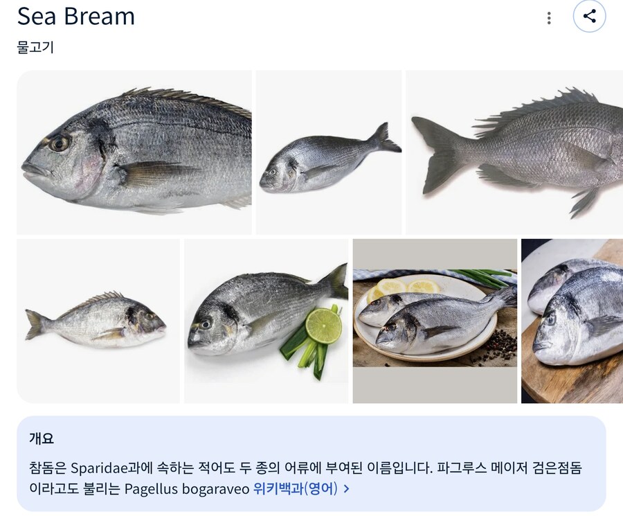 서양에선 굽거나 조려서 먹는 생선 Sea Bream_4.jpg