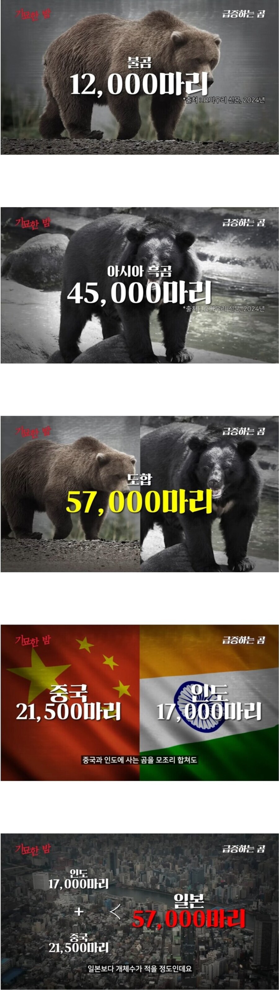 일본곰 이야기 나올때마다 자꾸