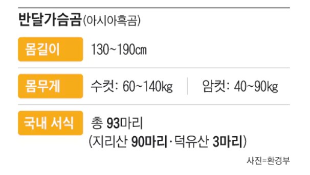 일본곰 이야기 나올때마다 자꾸
