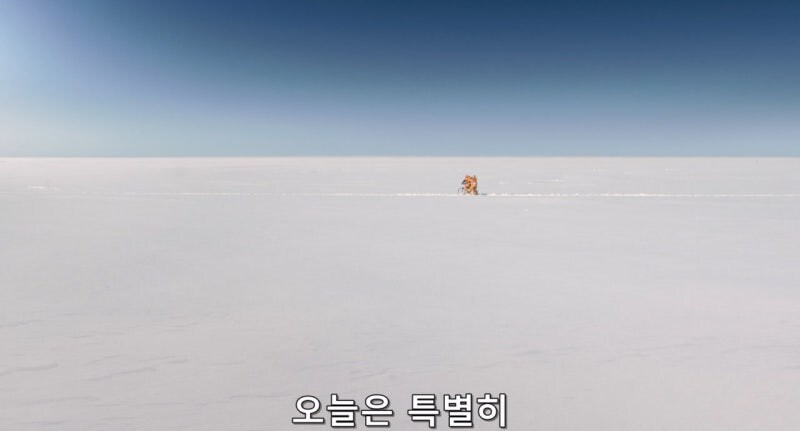 고립된 남극기지에서 남극대원들의 유일한 낙_11.jpg