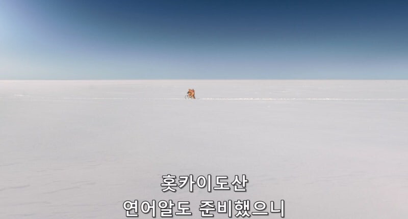 고립된 남극기지에서 남극대원들의 유일한 낙_12.jpg