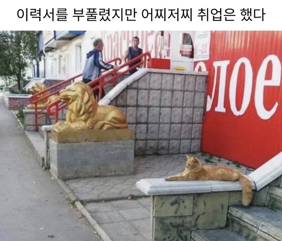 이력서 부풀려서 어찌저찌 취업은 했다_1.jpg