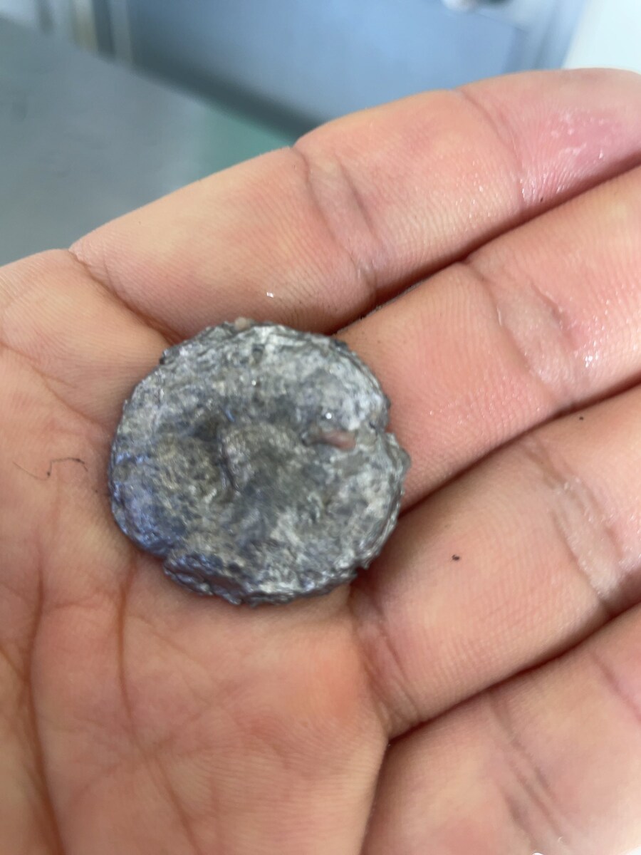 곰 사냥이 힘든 이유.jpg_2.jpg