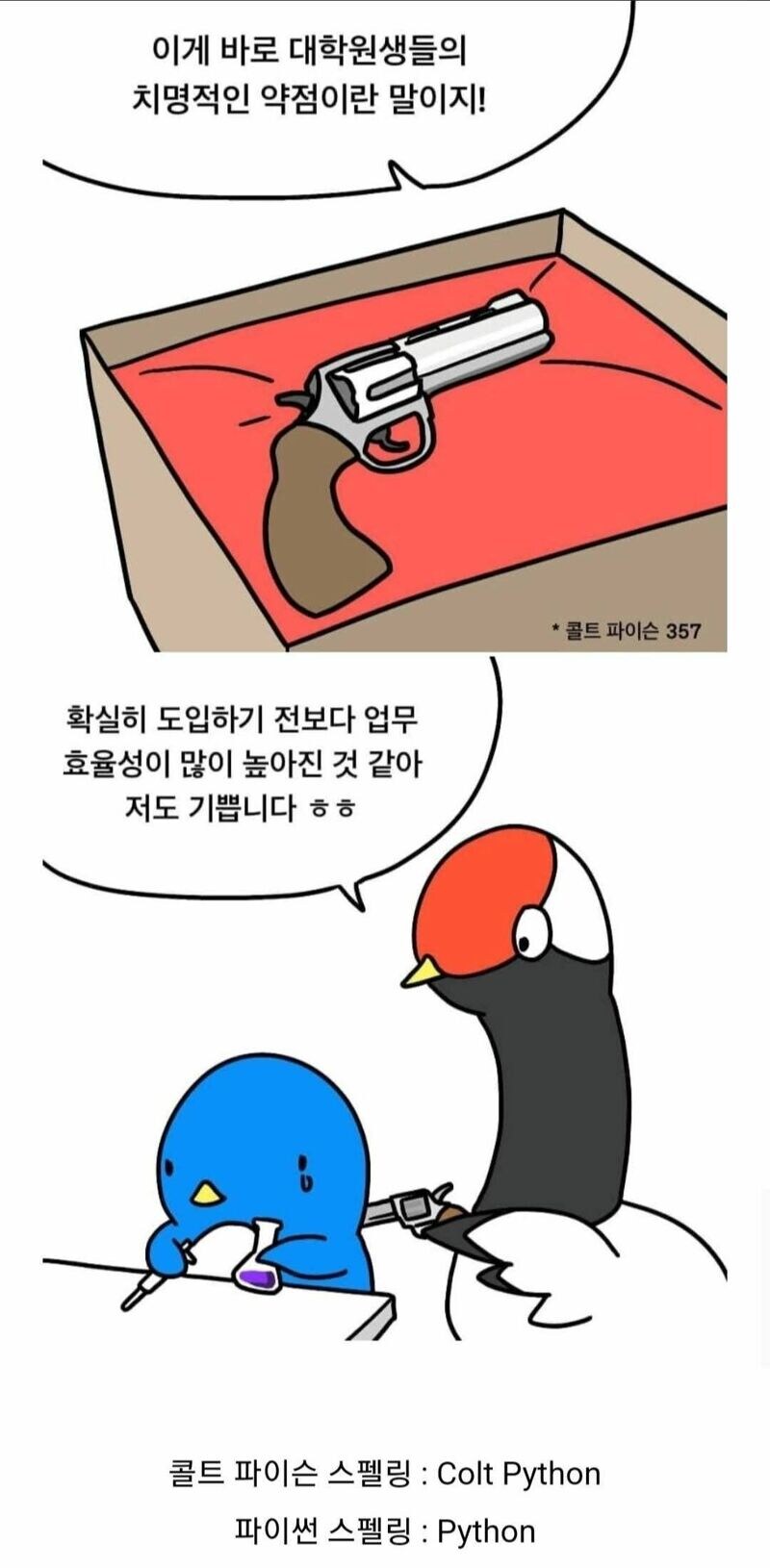 대학원생을 위해 파이썬을 구매한 교수님_2.jpg