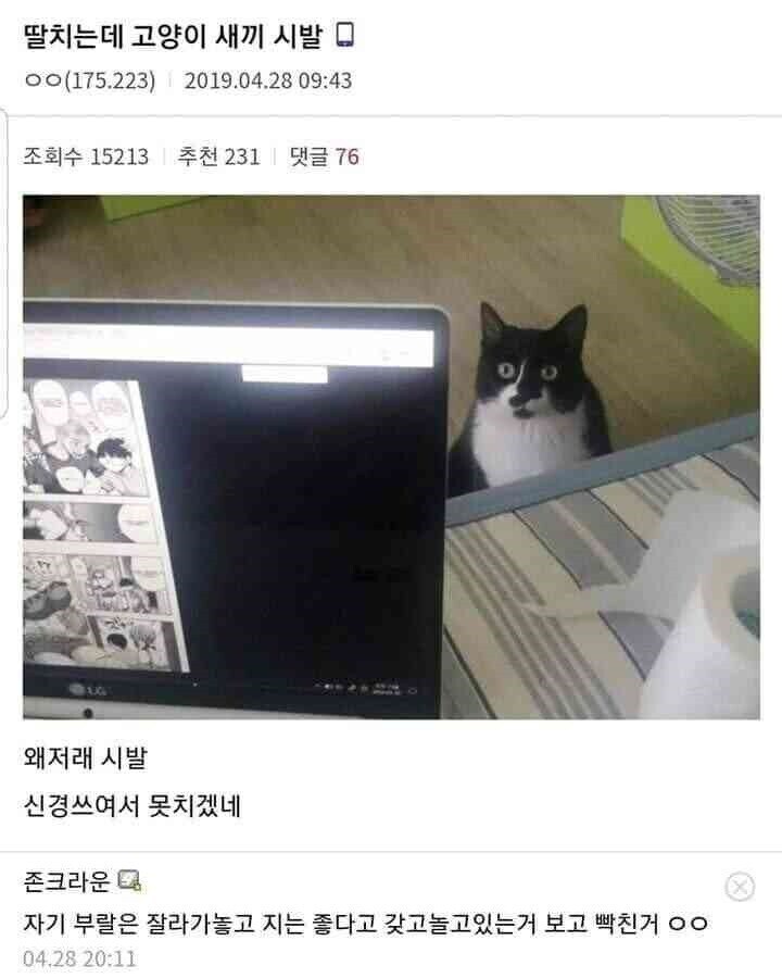의외로 고양이 있을떄 못하는거_1.jpg