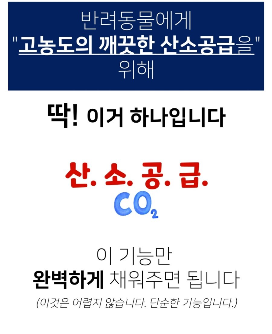 애완열등종에 대한 한국식