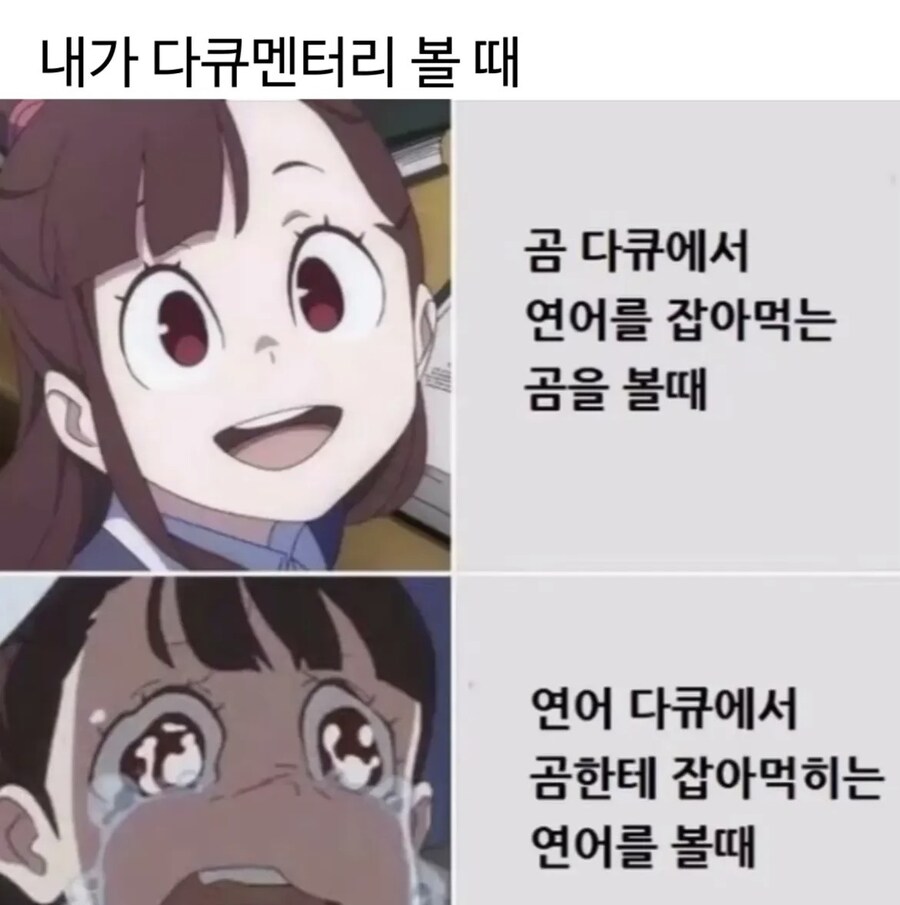 다큐 볼때 특_1.jpg