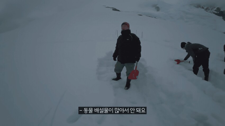 백종원 남극의 셰프 눈밭 도너츠가 위험한 이유_2.png