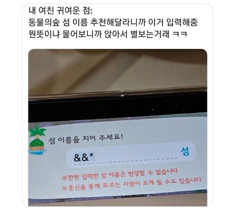 특이점이 온 동물의 숲 섬 이름 짓기_1.jpg