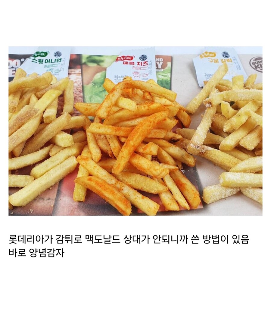 돼지가 쓰는 시판 냉동 감자튀김 추천_9.jpg