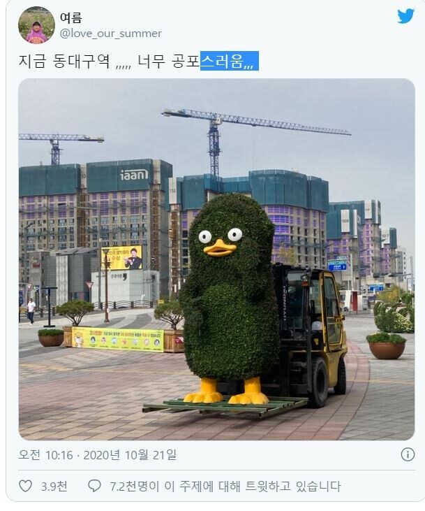 동대구역에 길리 슈트 차림으로 나타난 펭수.jpg_1.jpg