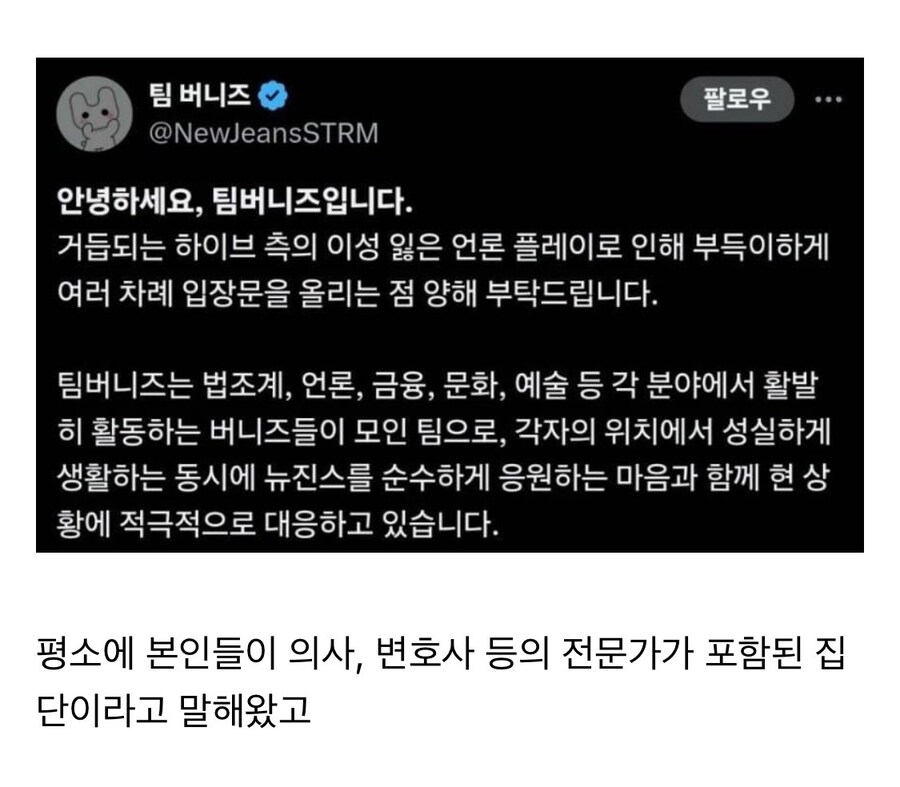 뉴진스 팬덤 팀버니즈 입장발표.jpg_2.jpg