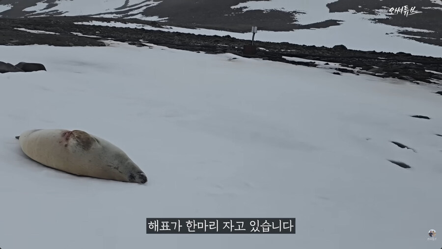 남극 기지의 일상_9.jpg