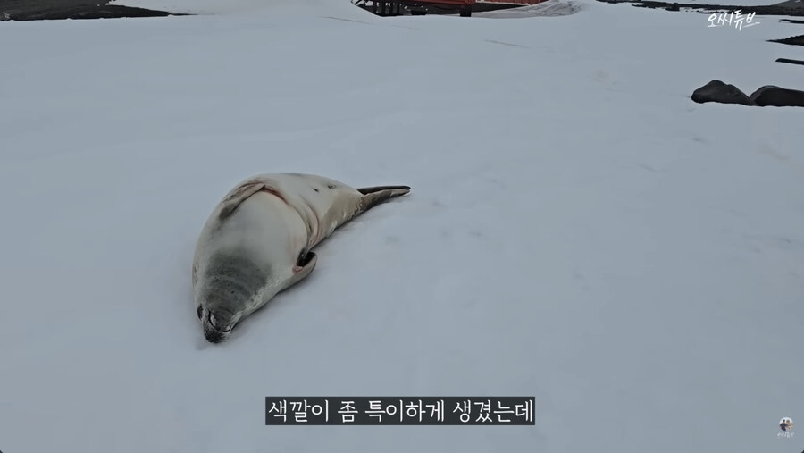 남극 기지의 일상_11.jpg