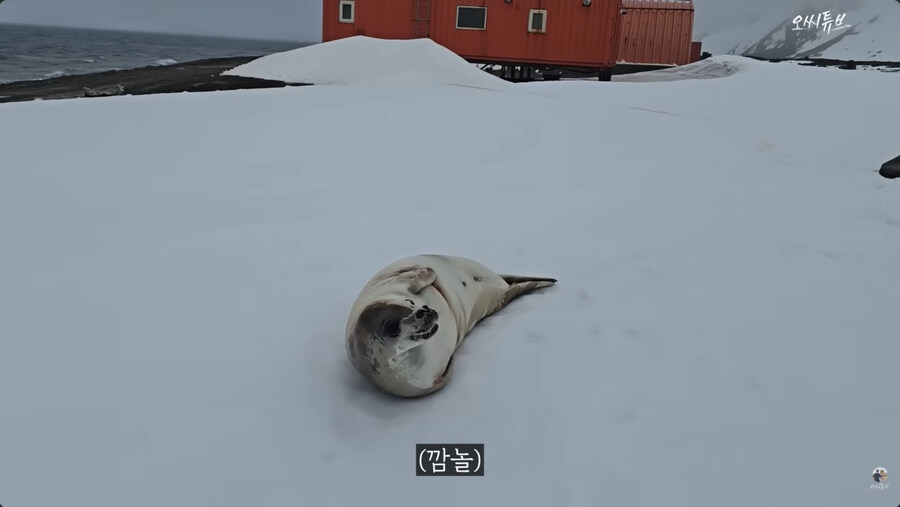 남극 기지의 일상_12.jpg