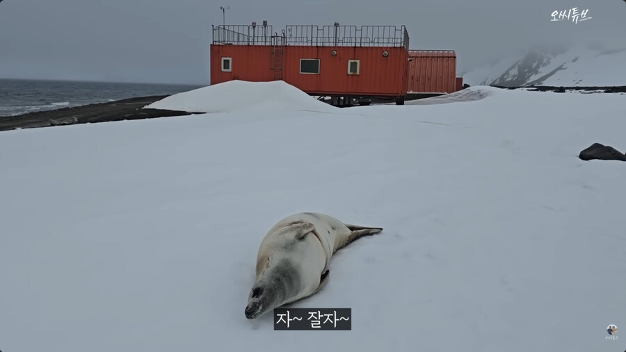 남극 기지의 일상_14.jpg