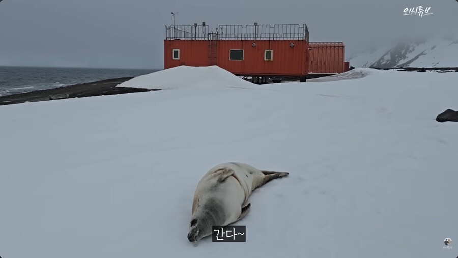 남극 기지의 일상_15.jpg