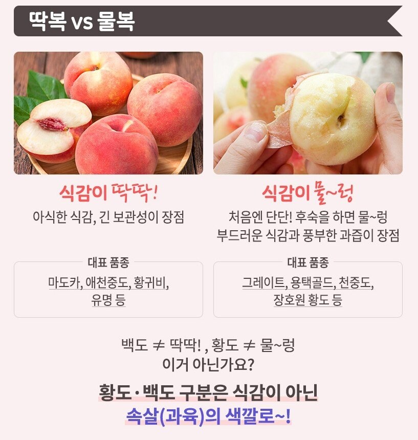 복숭아대결 딱복vs물복.jpg_1.jpg