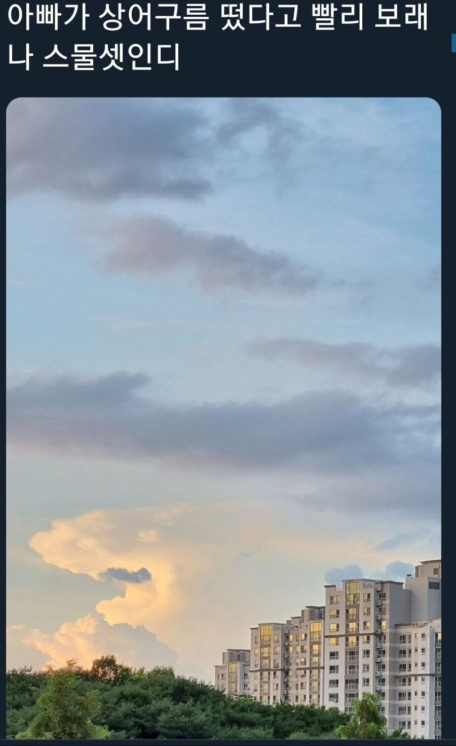 나 스물셋인디..._1.jpg