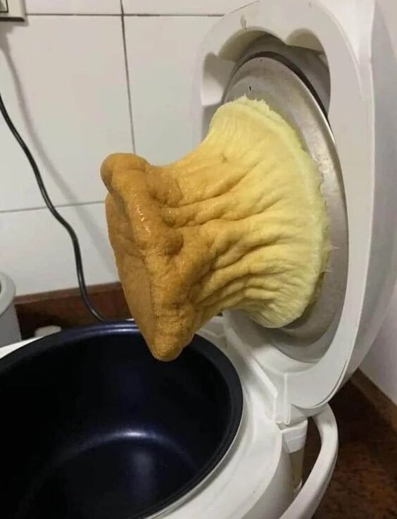 밥솥 카스테라 대참사.jpg_1.jpg