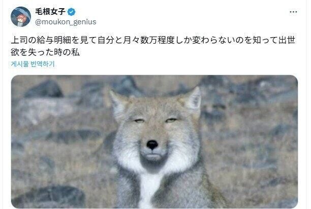 상사의 명세서를 보게 되었다._1.jpg