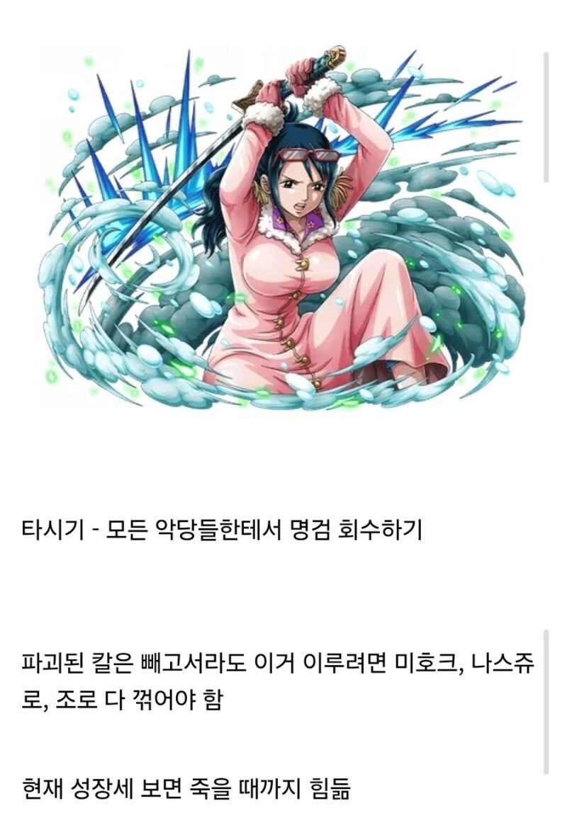 원피스에서 이루는게 불가능한 꿈_1.jpg
