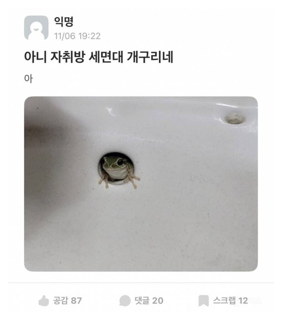 아니 자취방 세면대 개구리네_1.jpg