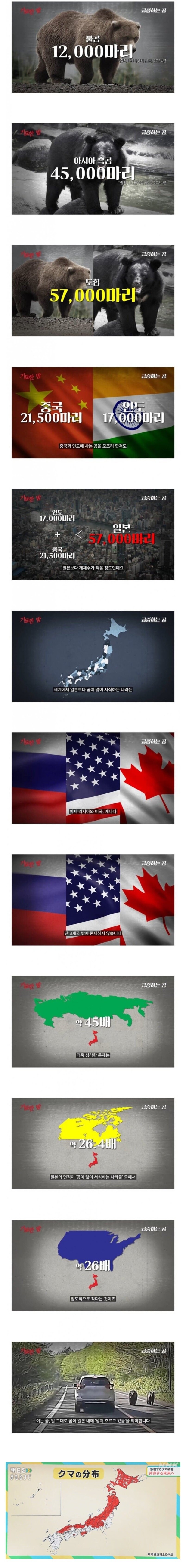 세계적인 곰 보유 국가가 된 일본_1.jpg