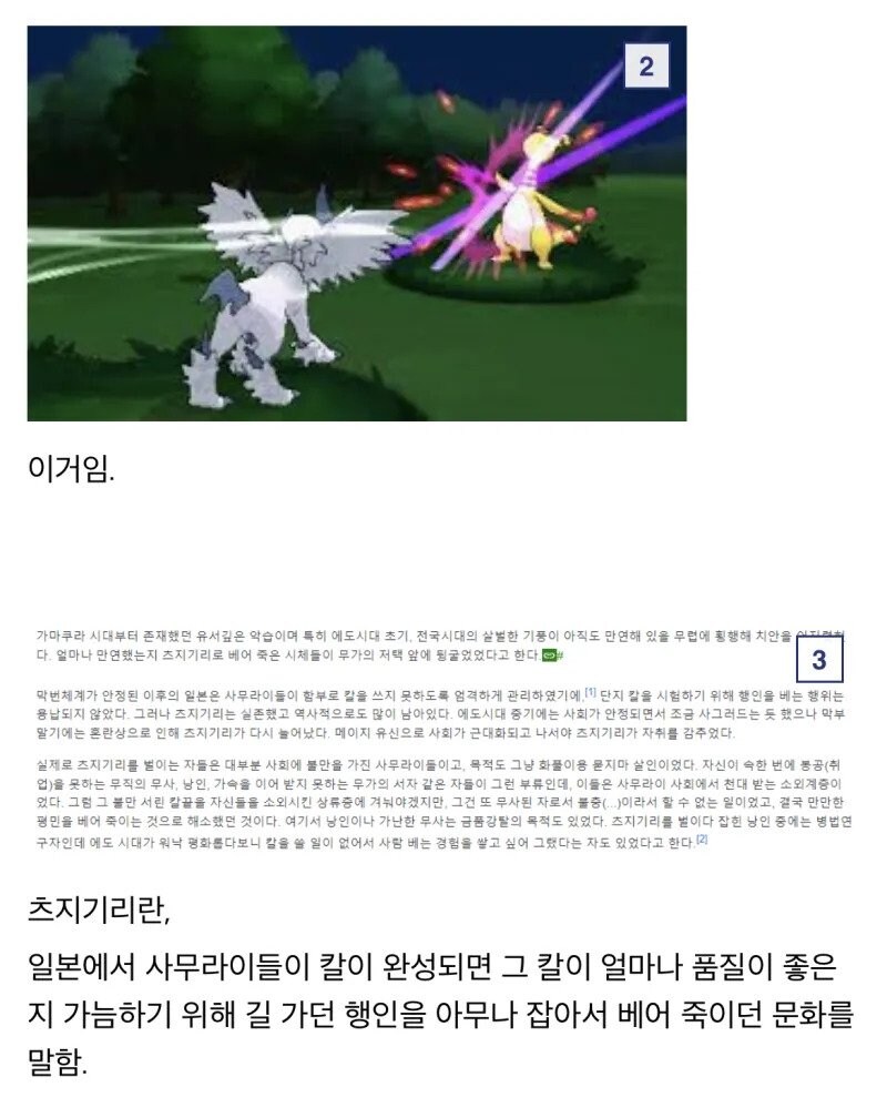 포켓몬 기술로 알아보는 일본 문화.jpg_2.jpg