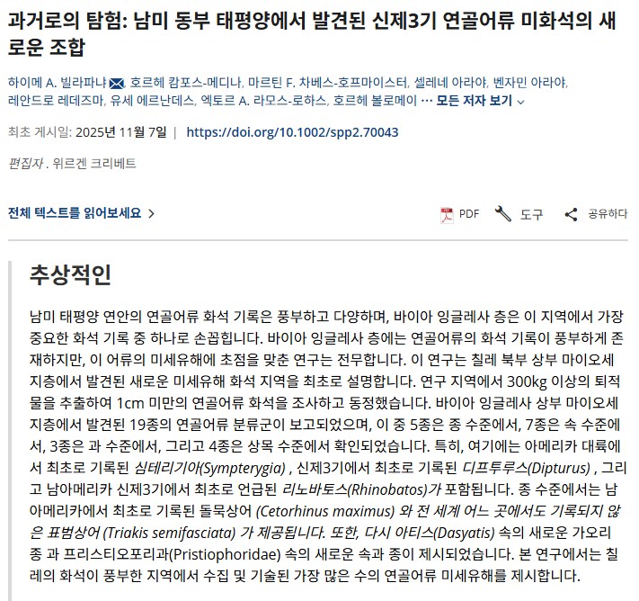 칠레에서 발견한 고대 상어 화석에