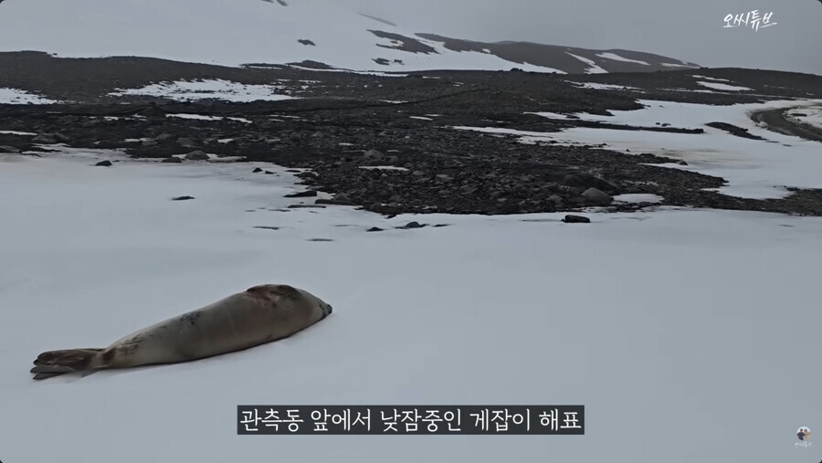 남극 세종기지 관련 영상 신스틸러_1.jpg