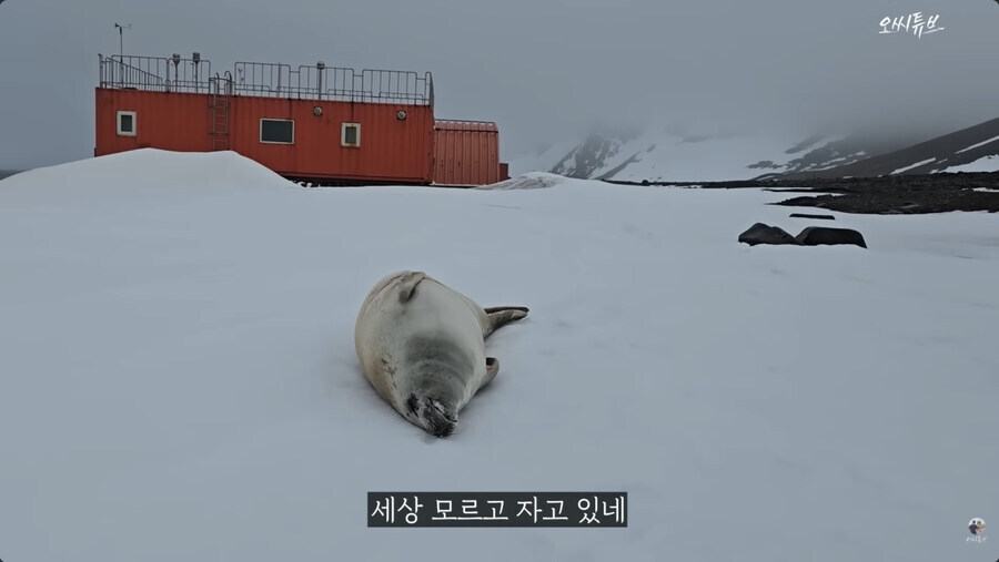 남극 세종기지 관련 영상 신스틸러_3.jpg