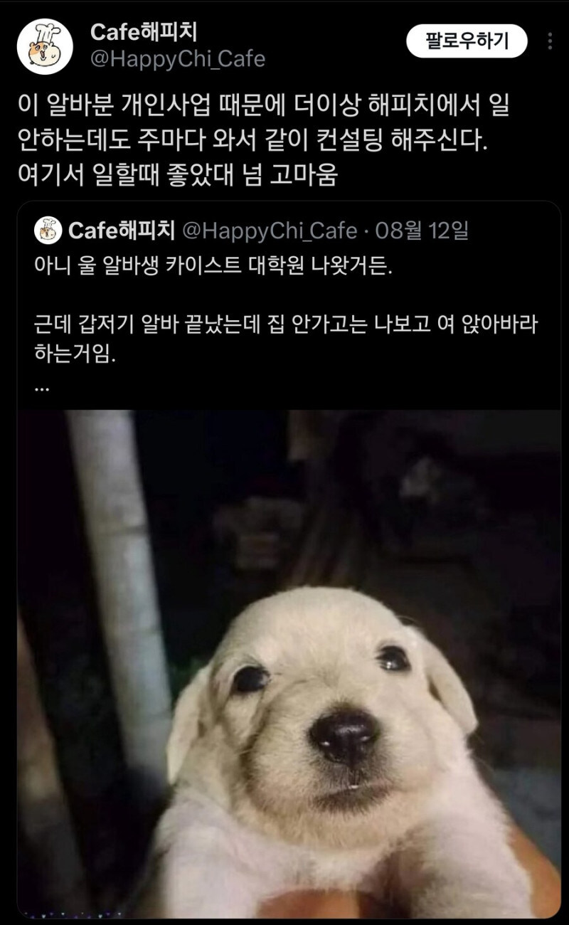 카이스트 대학원생을 알바로 뽑은 사장.jpg_2.jpg