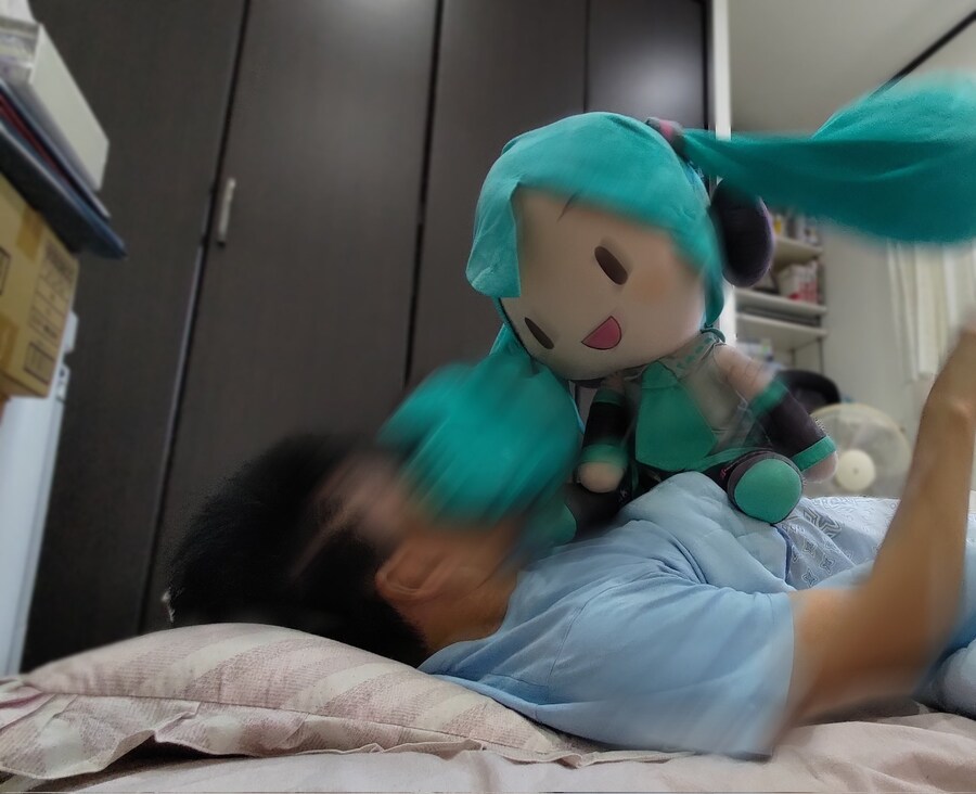 미쿠 인형으로 노는 방법.jpg_1.jpg