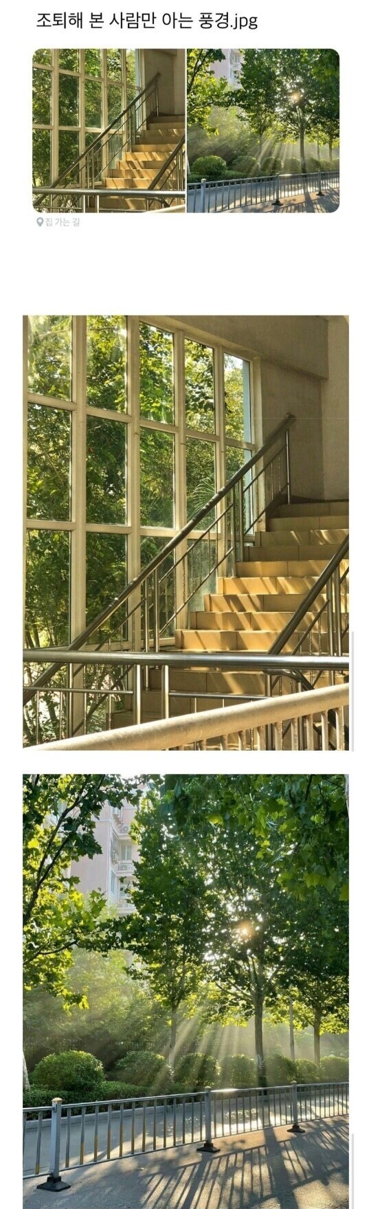 조퇴해본 사람만 아는 그 풍경.jpg_1.jpg