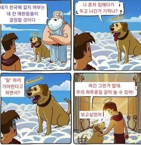 댕댕이가 하늘나라로 갔을때.jpg_2.jpg