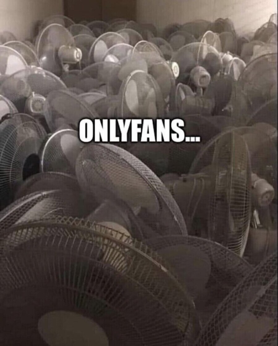 환율이 문제라고? 그럼 역시 온리팬즈..._1.jpg