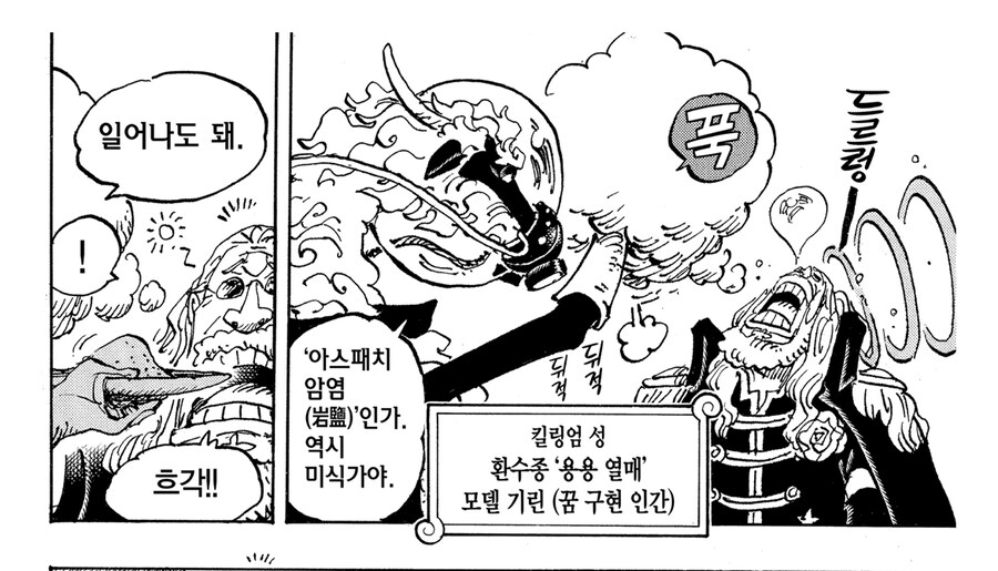 원피스 신의 기사단들 능력들 특징_6.jpg